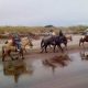 Coastal Horseback Riding Pacific City, Oregon - Trails & Tours | Living in Oregon: Moving Tips, Cost of Living & Best Cities