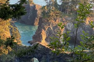 Explore Oregon Coast Must-See Attractions + Hidden Gems! Living in Oregon: Moving Tips, Cost of Living & Best Cities Explore Oregon Coast Must-See Attractions + Hidden Gems! | Living in Oregon: Moving Tips, Cost of Living & Best Cities