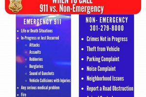 Eugene, OR Non-Emergency Number: When to Call & Alternatives Living in Oregon: Moving Tips, Cost of Living & Best Cities Eugene, OR Non-Emergency Number: When to Call & Alternatives | Living in Oregon: Moving Tips, Cost of Living & Best Cities