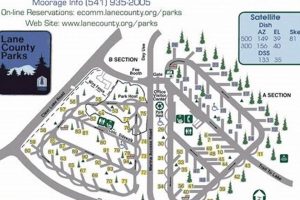 Best Camping in Lane County Oregon: Your Guide! Living in Oregon: Moving Tips, Cost of Living & Best Cities Best Camping in Lane County Oregon: Your Guide! | Living in Oregon: Moving Tips, Cost of Living & Best Cities