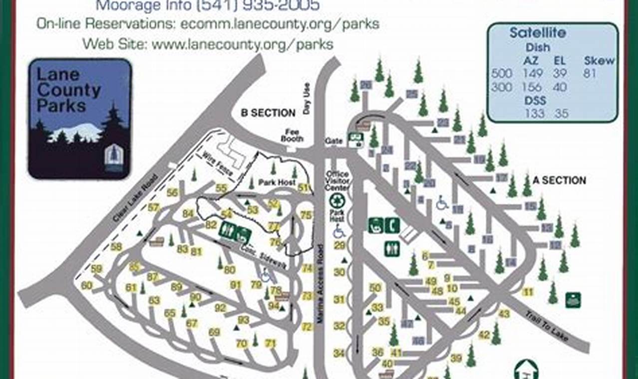 Best Camping in Lane County Oregon: Your Guide! Living in Oregon: Moving Tips, Cost of Living & Best Cities Best Camping in Lane County Oregon: Your Guide! | Living in Oregon: Moving Tips, Cost of Living & Best Cities