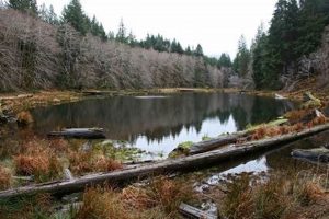 Discover Soapstone Lake, Oregon: A Natural Gem! Living in Oregon: Moving Tips, Cost of Living & Best Cities Discover Soapstone Lake, Oregon: A Natural Gem! | Living in Oregon: Moving Tips, Cost of Living & Best Cities