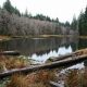 Discover Soapstone Lake, Oregon: A Natural Gem! | Living in Oregon: Moving Tips, Cost of Living & Best Cities
