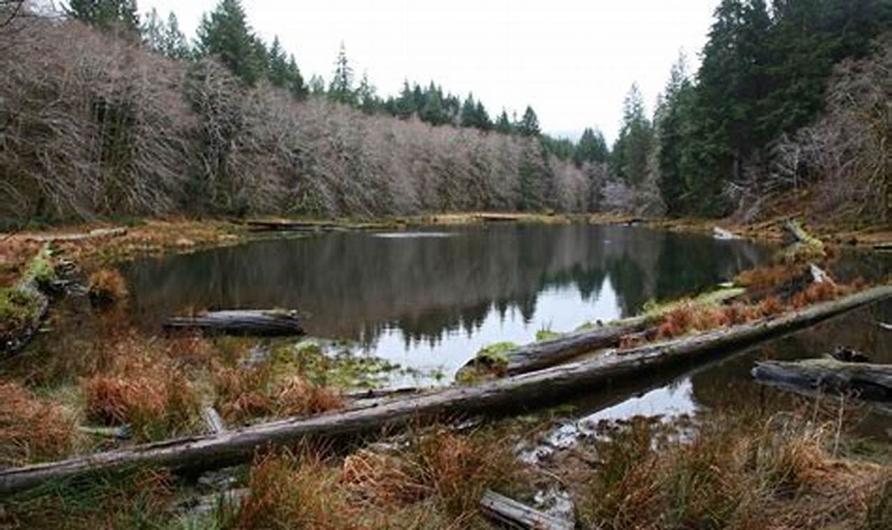 Discover Soapstone Lake, Oregon: A Natural Gem! Living in Oregon: Moving Tips, Cost of Living & Best Cities Discover Soapstone Lake, Oregon: A Natural Gem! | Living in Oregon: Moving Tips, Cost of Living & Best Cities