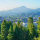 Explore Eugene Oregon Forrest: Trails & Wonders! | Living in Oregon: Moving Tips, Cost of Living & Best Cities