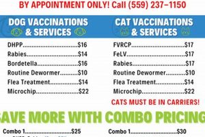 Affordable Pet Care: Low Cost Vet Clinic Options in Eugene, OR Living in Oregon: Moving Tips, Cost of Living & Best Cities Affordable Pet Care: Low Cost Vet Clinic Options in Eugene, OR | Living in Oregon: Moving Tips, Cost of Living & Best Cities