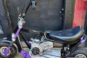 Portland's Best: Motor Scooters Portland Oregon Guide Living in Oregon: Moving Tips, Cost of Living & Best Cities Portland's Best: Motor Scooters Portland Oregon Guide | Living in Oregon: Moving Tips, Cost of Living & Best Cities