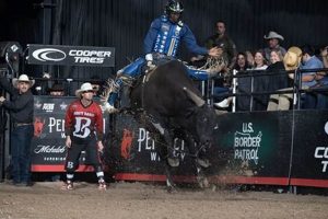 PBR in Eugene, Oregon: Local Scene + Where to Find It Living in Oregon: Moving Tips, Cost of Living & Best Cities PBR in Eugene, Oregon: Local Scene + Where to Find It | Living in Oregon: Moving Tips, Cost of Living & Best Cities