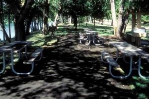Explore Touvelle Park Oregon: Rogue River Fun! Living in Oregon: Moving Tips, Cost of Living & Best Cities Explore Touvelle Park Oregon: Rogue River Fun! | Living in Oregon: Moving Tips, Cost of Living & Best Cities