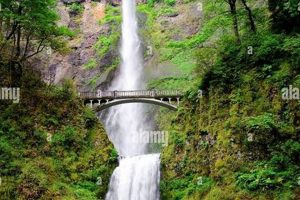 Klamath Falls Oregon To Bend Oregon Living in Oregon: Moving Tips, Cost of Living & Best Cities Klamath Falls Oregon To Bend Oregon | Living in Oregon: Moving Tips, Cost of Living & Best Cities