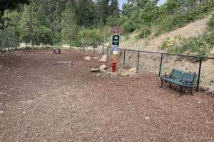 Ashland, Oregon Dog Park Guide: [Your Dog's Paradise] | Living in Oregon: Moving Tips, Cost of Living & Best Cities