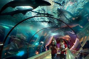 Visit the Oregon Aquarium Near Lincoln City: Tickets & Info Living in Oregon: Moving Tips, Cost of Living & Best Cities Visit the Oregon Aquarium Near Lincoln City: Tickets & Info | Living in Oregon: Moving Tips, Cost of Living & Best Cities
