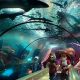 Visit the Oregon Aquarium Near Lincoln City: Tickets &amp; Info | Living in Oregon: Moving Tips, Cost of Living & Best Cities