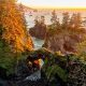 Discover the Best of Oregon Coast: Top Picks &amp; More! | Living in Oregon: Moving Tips, Cost of Living & Best Cities
