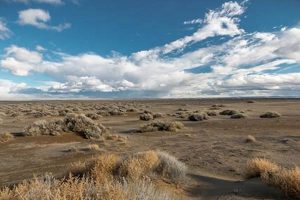 Unearthing Oregon's Fossil Lake: History & Treasures Living in Oregon: Moving Tips, Cost of Living & Best Cities Unearthing Oregon's Fossil Lake: History & Treasures | Living in Oregon: Moving Tips, Cost of Living & Best Cities