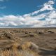 Unearthing Oregon's Fossil Lake: History & Treasures | Living in Oregon: Moving Tips, Cost of Living & Best Cities