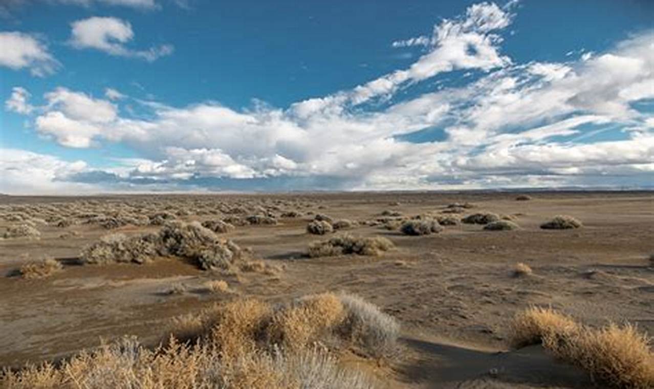 Unearthing Oregon's Fossil Lake: History & Treasures Living in Oregon: Moving Tips, Cost of Living & Best Cities Unearthing Oregon's Fossil Lake: History & Treasures | Living in Oregon: Moving Tips, Cost of Living & Best Cities
