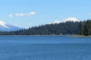 Hyatt Lake Oregon Weather: Your [Season] Forecast Now! | Living in Oregon: Moving Tips, Cost of Living & Best Cities