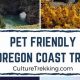 Find Pet Friendly Places to Stay on the Oregon Coast Guide | Living in Oregon: Moving Tips, Cost of Living & Best Cities