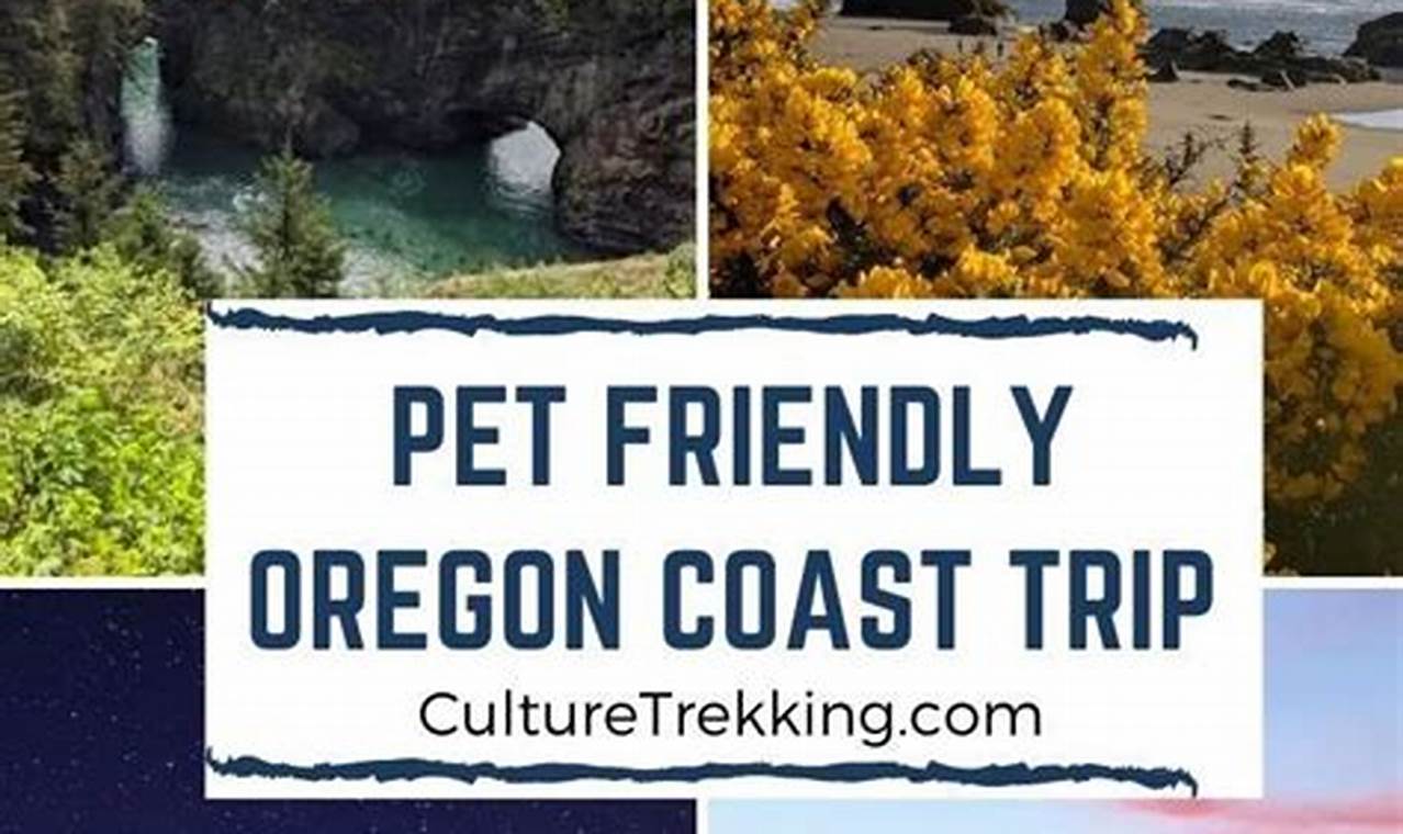 Find Pet Friendly Places to Stay on the Oregon Coast Guide Living in Oregon: Moving Tips, Cost of Living & Best Cities Find Pet Friendly Places to Stay on the Oregon Coast Guide | Living in Oregon: Moving Tips, Cost of Living & Best Cities