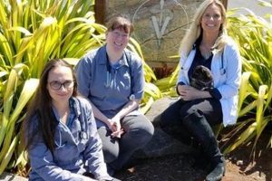 Lincoln City, OR: Top Veterinarians & Animal Care Living in Oregon: Moving Tips, Cost of Living & Best Cities Lincoln City, OR: Top Veterinarians & Animal Care | Living in Oregon: Moving Tips, Cost of Living & Best Cities