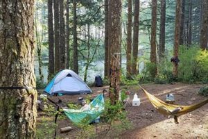 Explore South Lake Oregon: Your Guide & More Living in Oregon: Moving Tips, Cost of Living & Best Cities Explore South Lake Oregon: Your Guide & More | Living in Oregon: Moving Tips, Cost of Living & Best Cities