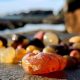 Find Agates on Oregon Coast: The Ultimate Guide | Living in Oregon: Moving Tips, Cost of Living & Best Cities