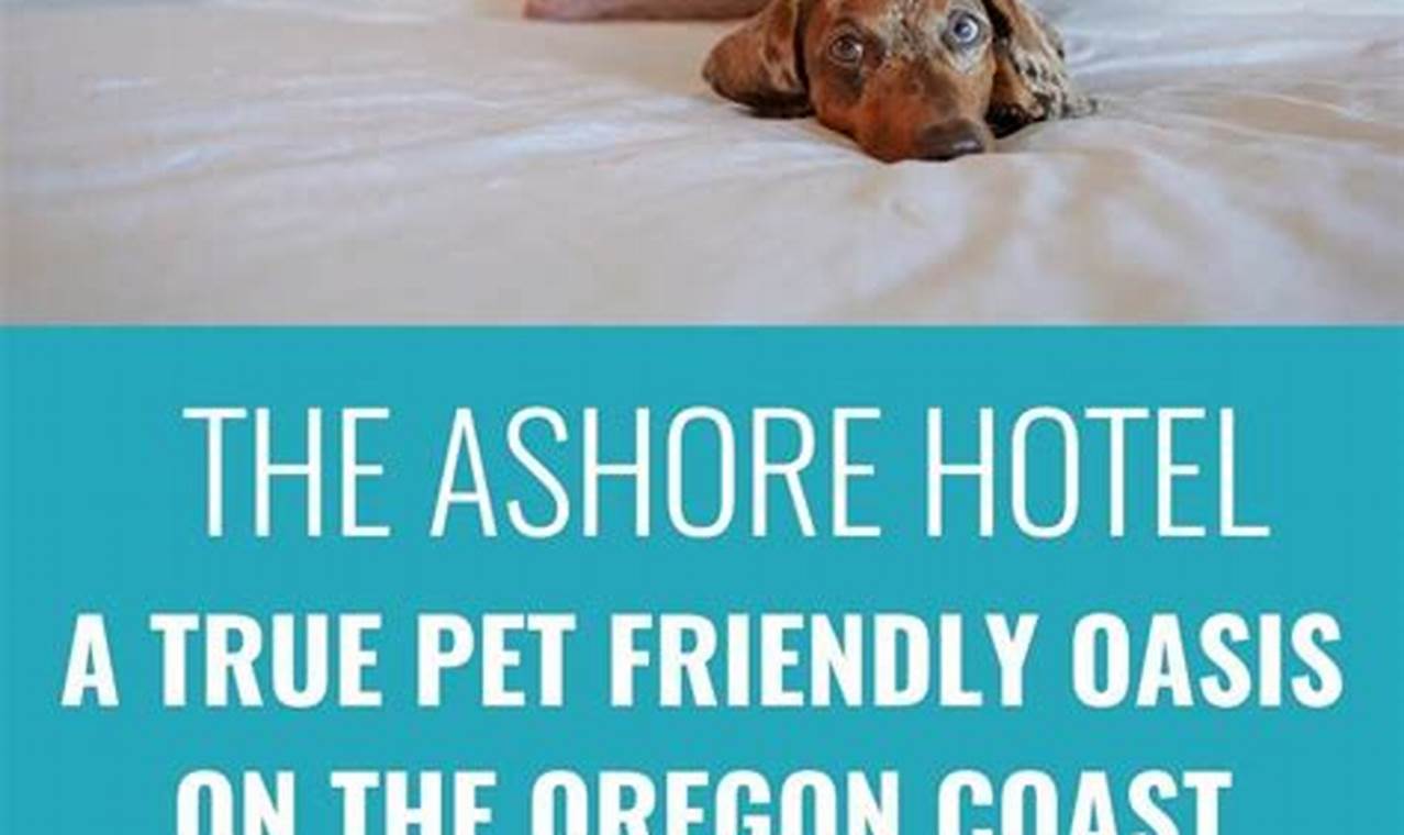 Your Guide: Dog Friendly Hotels on the Oregon Coast, Best Stays! Living in Oregon: Moving Tips, Cost of Living & Best Cities Your Guide: Dog Friendly Hotels on the Oregon Coast, Best Stays! | Living in Oregon: Moving Tips, Cost of Living & Best Cities