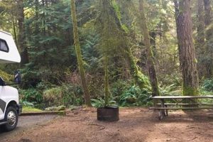 Your Guide: Dog Friendly Camping Near Lincoln City, Oregon! Living in Oregon: Moving Tips, Cost of Living & Best Cities Your Guide: Dog Friendly Camping Near Lincoln City, Oregon! | Living in Oregon: Moving Tips, Cost of Living & Best Cities