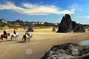 Explore Oregon Coast Horse Back Ridging Adventures! Living in Oregon: Moving Tips, Cost of Living & Best Cities Explore Oregon Coast Horse Back Ridging Adventures! | Living in Oregon: Moving Tips, Cost of Living & Best Cities