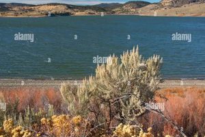 Discover Unity Lake State Park Oregon: Camping & More Living in Oregon: Moving Tips, Cost of Living & Best Cities Discover Unity Lake State Park Oregon: Camping & More | Living in Oregon: Moving Tips, Cost of Living & Best Cities
