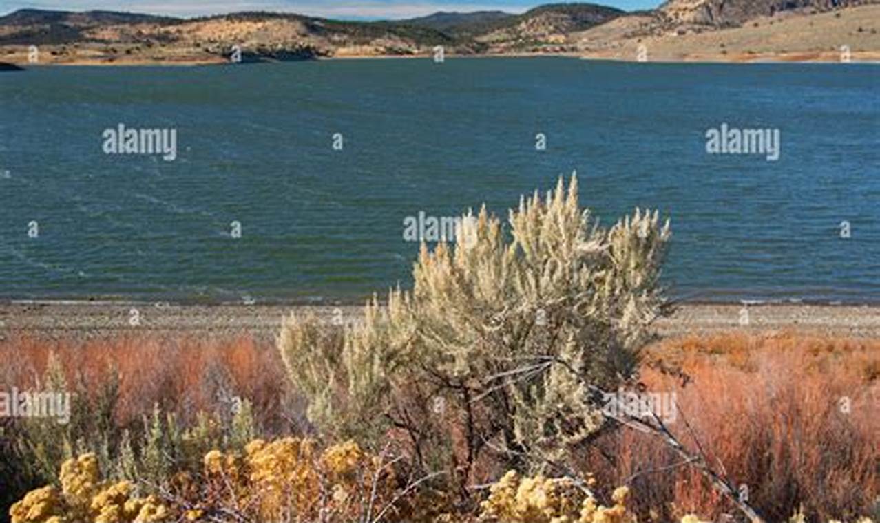 Discover Unity Lake State Park Oregon: Camping & More Living in Oregon: Moving Tips, Cost of Living & Best Cities Discover Unity Lake State Park Oregon: Camping & More | Living in Oregon: Moving Tips, Cost of Living & Best Cities