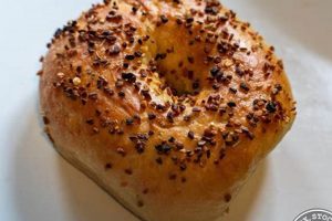 Best Bagels in Eugene Oregon: Your Local Guide Living in Oregon: Moving Tips, Cost of Living & Best Cities Best Bagels in Eugene Oregon: Your Local Guide | Living in Oregon: Moving Tips, Cost of Living & Best Cities