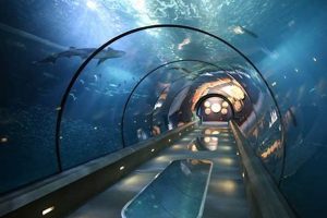 Unleash Creativity: Oregon Coast Aquarium Art for All Ages! Living in Oregon: Moving Tips, Cost of Living & Best Cities Unleash Creativity: Oregon Coast Aquarium Art for All Ages! | Living in Oregon: Moving Tips, Cost of Living & Best Cities