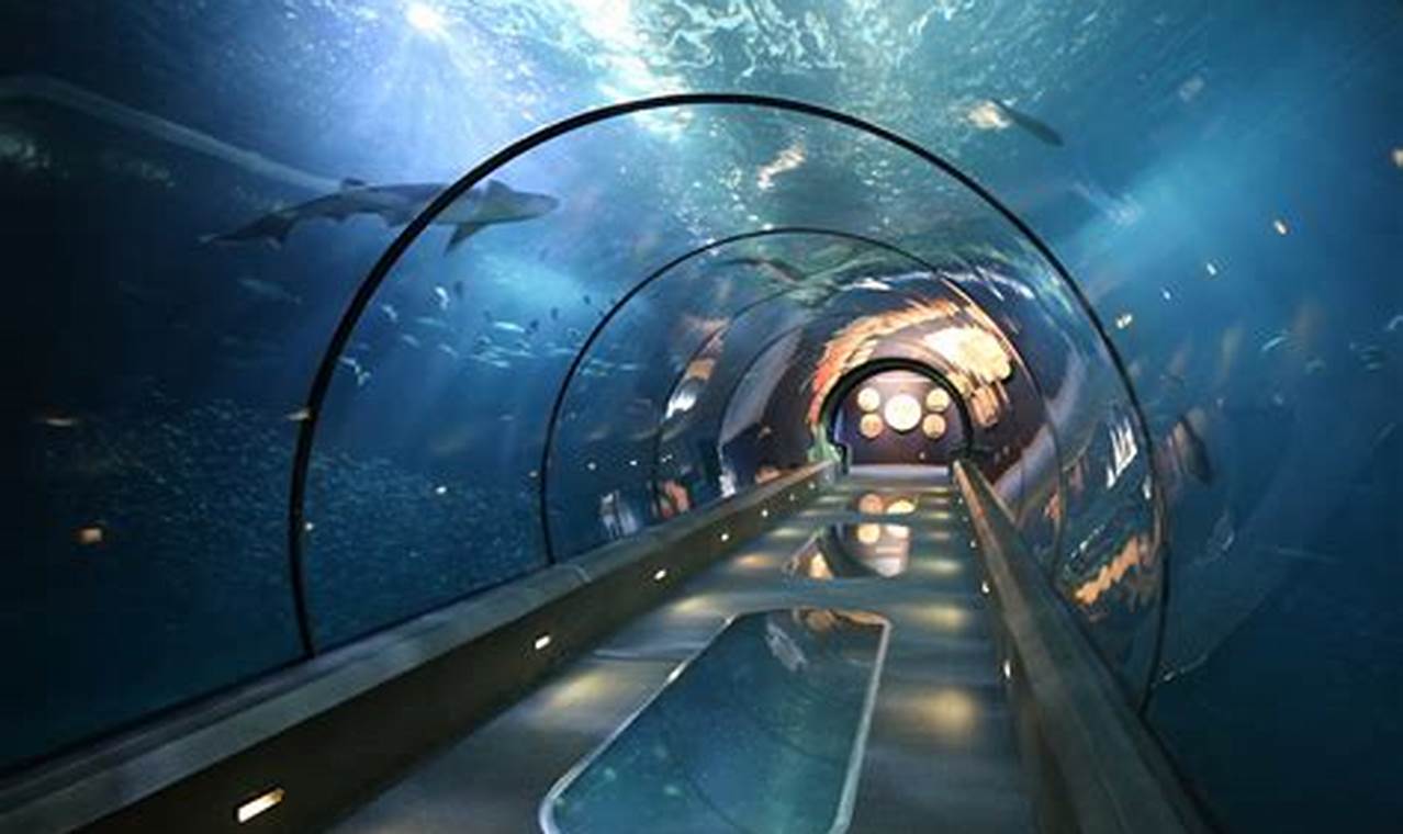 Unleash Creativity: Oregon Coast Aquarium Art for All Ages! Living in Oregon: Moving Tips, Cost of Living & Best Cities Unleash Creativity: Oregon Coast Aquarium Art for All Ages! | Living in Oregon: Moving Tips, Cost of Living & Best Cities