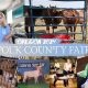 Your Guide: Polk County Oregon Fair Fun! | Living in Oregon: Moving Tips, Cost of Living & Best Cities