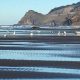 Lincoln City Low Tide: Oregon Beachcombing Gems | Living in Oregon: Moving Tips, Cost of Living & Best Cities