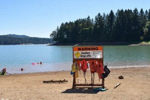 Visiting Henry Hagg Lake Oregon: A Guide + Tips | Living in Oregon: Moving Tips, Cost of Living & Best Cities