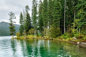 Explore Odell Lake in Oregon: A Cascade Gem Living in Oregon: Moving Tips, Cost of Living & Best Cities Explore Odell Lake in Oregon: A Cascade Gem | Living in Oregon: Moving Tips, Cost of Living & Best Cities