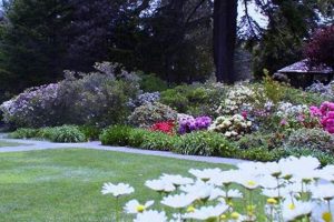 Explore Azalea Park, Oregon: Blooms & Trails Living in Oregon: Moving Tips, Cost of Living & Best Cities Explore Azalea Park, Oregon: Blooms & Trails | Living in Oregon: Moving Tips, Cost of Living & Best Cities
