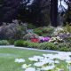 Explore Azalea Park, Oregon: Blooms & Trails | Living in Oregon: Moving Tips, Cost of Living & Best Cities