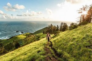 Top Oregon Coast Hikes: Best Trails & More Living in Oregon: Moving Tips, Cost of Living & Best Cities Top Oregon Coast Hikes: Best Trails & More | Living in Oregon: Moving Tips, Cost of Living & Best Cities