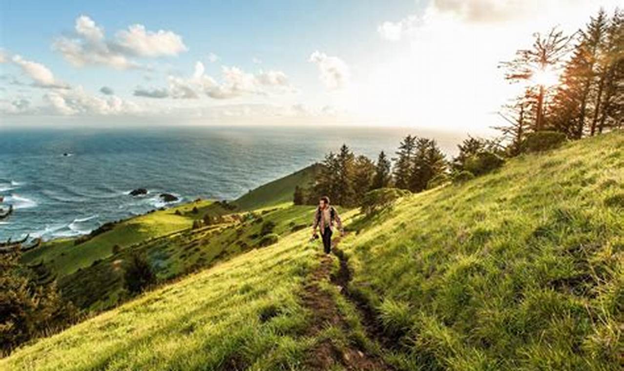 Top Oregon Coast Hikes: Best Trails & More Living in Oregon: Moving Tips, Cost of Living & Best Cities Top Oregon Coast Hikes: Best Trails & More | Living in Oregon: Moving Tips, Cost of Living & Best Cities