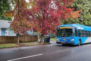 Your Ride Source in Eugene, Oregon: Options & More Living in Oregon: Moving Tips, Cost of Living & Best Cities Your Ride Source in Eugene, Oregon: Options & More | Living in Oregon: Moving Tips, Cost of Living & Best Cities