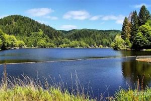 Escape to Fishhawk Lake Oregon: Your Lakeside Retreat Living in Oregon: Moving Tips, Cost of Living & Best Cities Escape to Fishhawk Lake Oregon: Your Lakeside Retreat | Living in Oregon: Moving Tips, Cost of Living & Best Cities