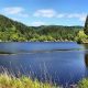 Escape to Fishhawk Lake Oregon: Your Lakeside Retreat | Living in Oregon: Moving Tips, Cost of Living & Best Cities
