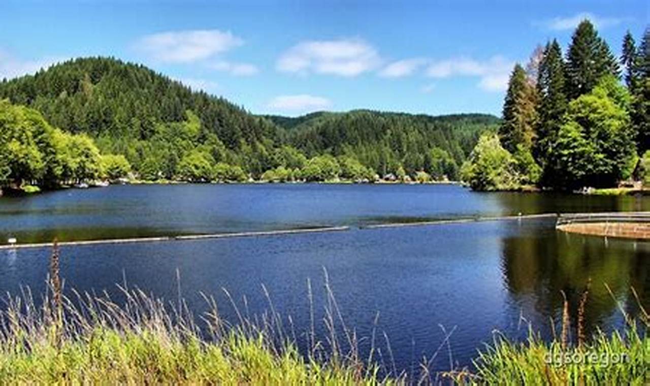 Escape to Fishhawk Lake Oregon: Your Lakeside Retreat Living in Oregon: Moving Tips, Cost of Living & Best Cities Escape to Fishhawk Lake Oregon: Your Lakeside Retreat | Living in Oregon: Moving Tips, Cost of Living & Best Cities