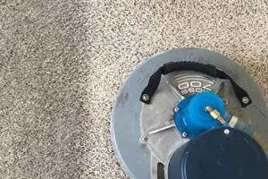 Expert Rug Cleaning Medford Oregon: Restore & Revive Living in Oregon: Moving Tips, Cost of Living & Best Cities Expert Rug Cleaning Medford Oregon: Restore & Revive | Living in Oregon: Moving Tips, Cost of Living & Best Cities