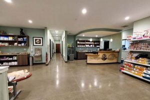 Best Lincoln City Oregon Vet Clinic: Compassionate Care Living in Oregon: Moving Tips, Cost of Living & Best Cities Best Lincoln City Oregon Vet Clinic: Compassionate Care | Living in Oregon: Moving Tips, Cost of Living & Best Cities