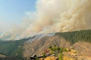 Oregon Fires: Douglas County Wildfire Risk & Safety Living in Oregon: Moving Tips, Cost of Living & Best Cities Oregon Fires: Douglas County Wildfire Risk & Safety | Living in Oregon: Moving Tips, Cost of Living & Best Cities